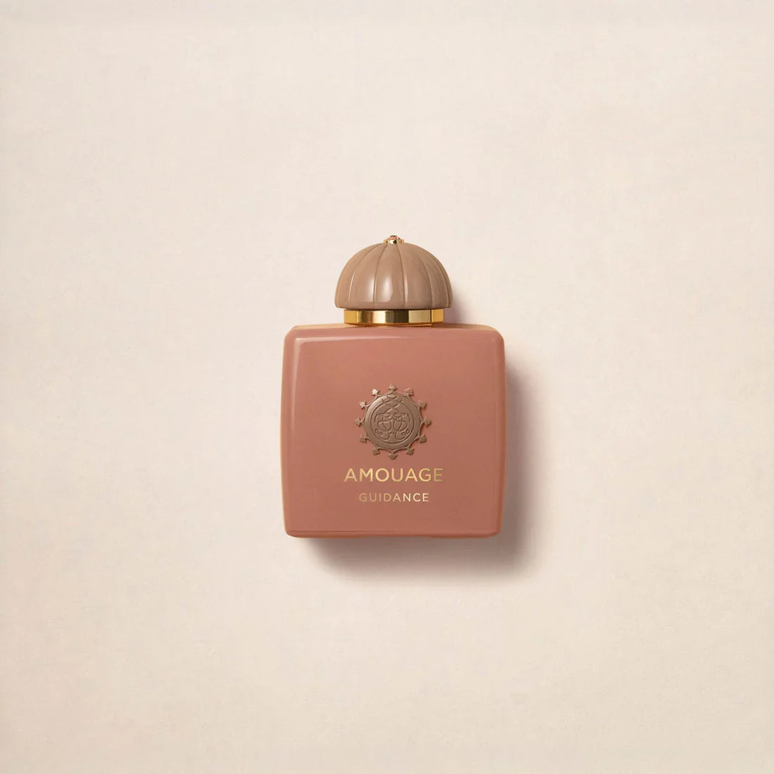 Amouage Guidance Eau de Parfume 100ml